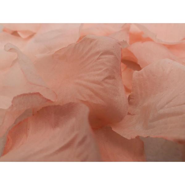 PETALES 120 pcs